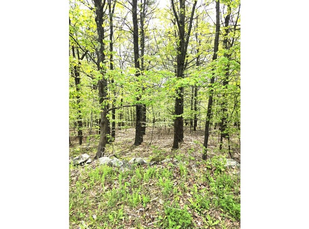 0 High Hill Road, Athens, NY 12015