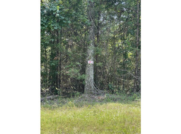 Lot 3 Pleasant Ridge Road, Greers Ferry, AR 72067