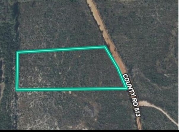 1554 County Rd 513, Elba, AL 36323