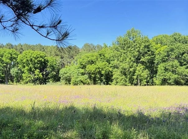 0 Bonner Lane, Buckhead, GA 30625