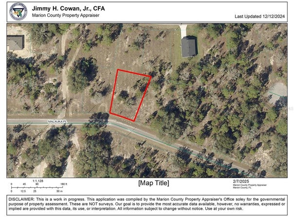 Tbd MALAUKA PLACE, OCKLAWAHA, FL 32179
