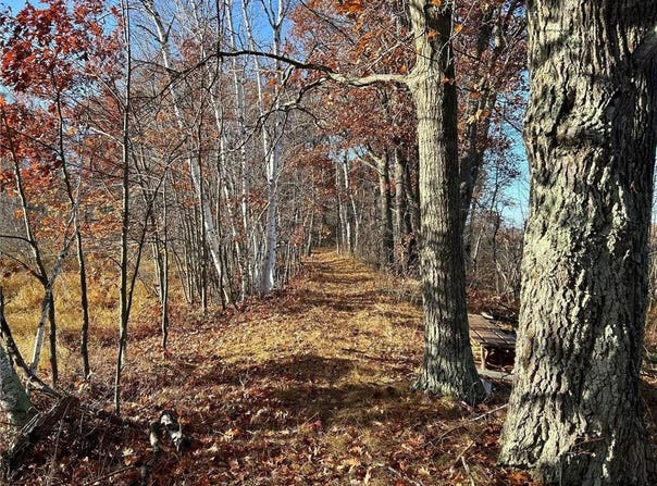 Xxxxx 248th Place, Jevne Twp, MN 55760