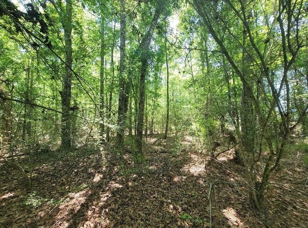 0 S State Highway 27, Geneva, AL 36340