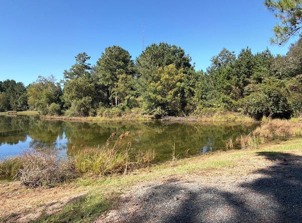 Edna Moore Road, Eastman, GA 31023