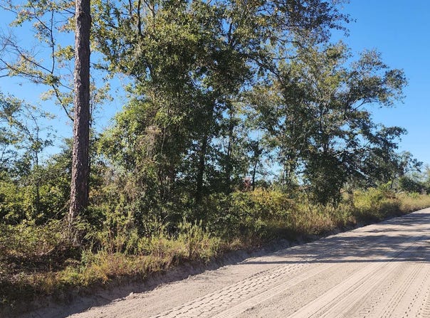 SE TBD HIGH FALLS ROAD, Lake City, FL 32025