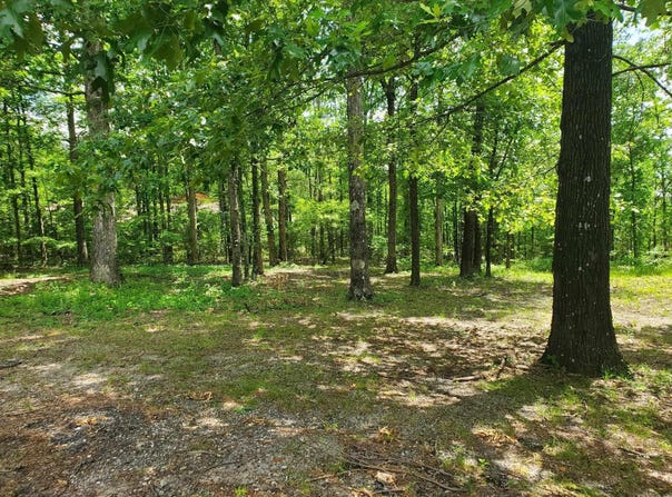 TBD (Lot 5) Brandon Drive, Mena, AR 71953