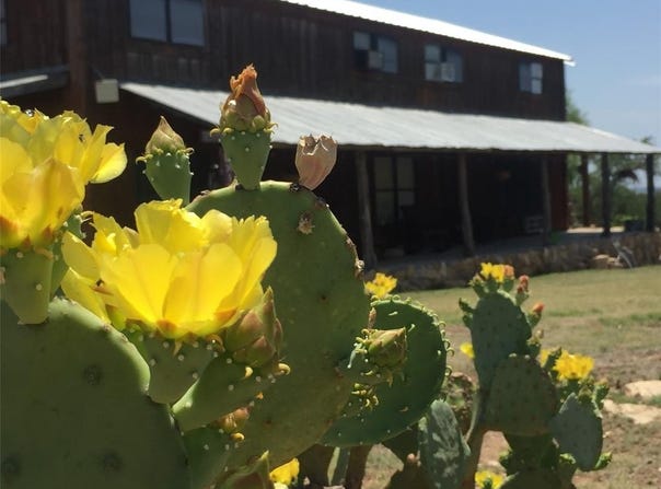 9101 County Road 123, Cross Plains, TX 76443