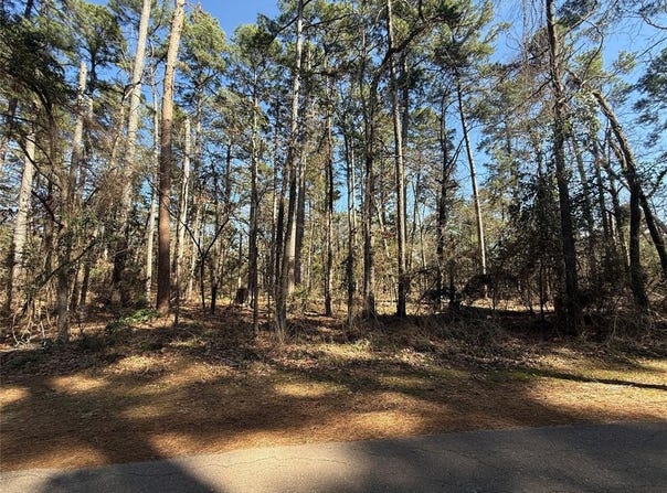 Lot 3 Private Road 8573, Winnsboro, TX 75494