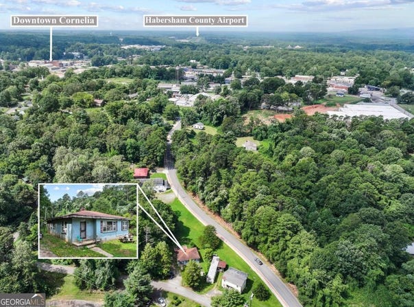 285 Carter, Cornelia, GA 30531