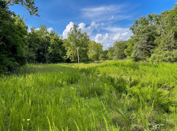 TBD Varvel Road, Willow Springs, MO 65793