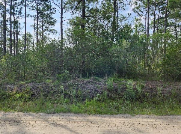 Queens Road lot: 453, Southport, NC 28461