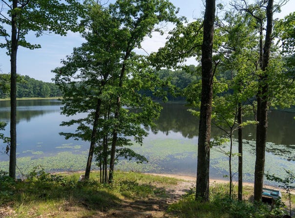 3149 Bungo Trail, Harrison, MI 48625