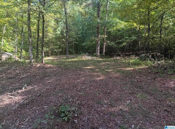 0 VALLEY CIRCLE, WARRIOR, AL 35180