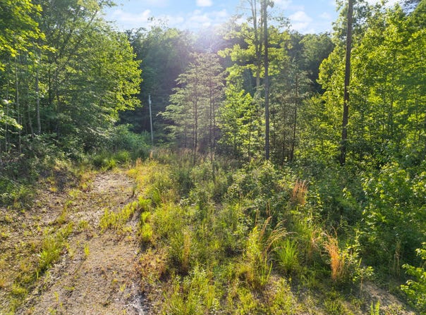 165 Chaneyville Road, Stanton, KY 40380