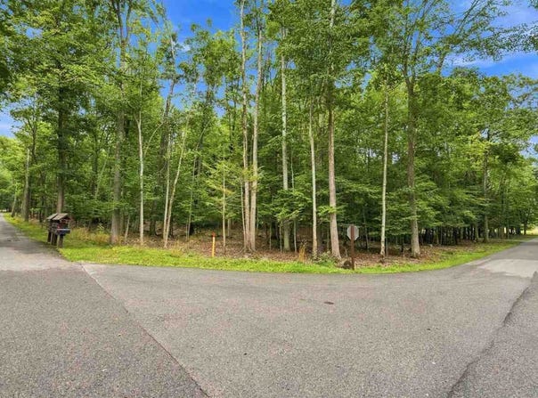 1358 Timber Pass, Harbor Springs, MI 49740