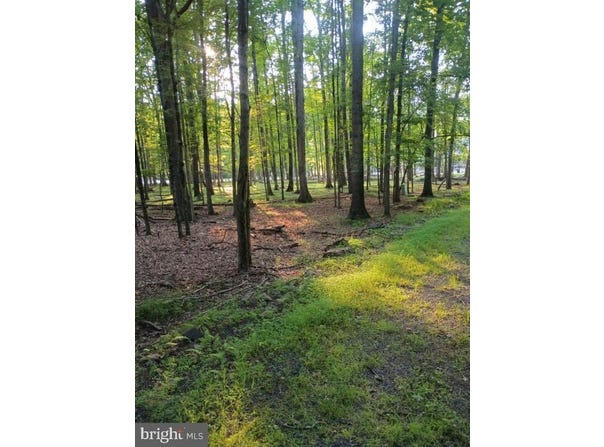 0 CHESTNUT DRIVE, HAZLETON, PA 18202