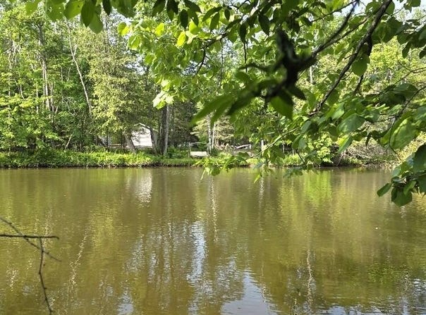 Martin Road, Alpena, MI 49707