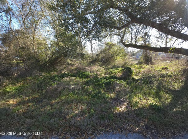 Hunter Avenue, Pass Christian, MS 39571
