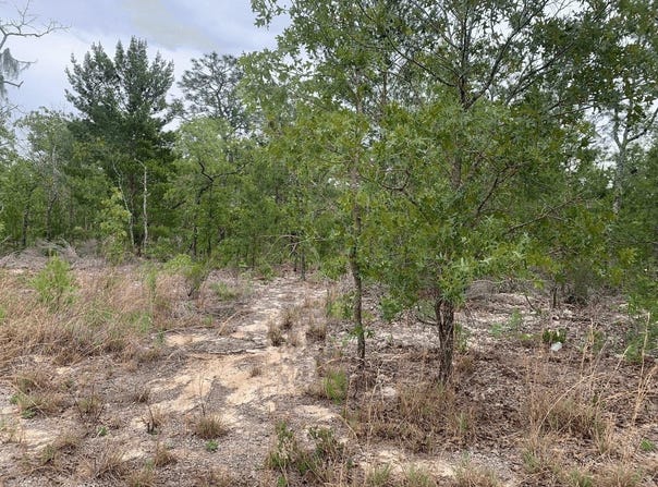 Gray Street, Interlachen, FL 32148