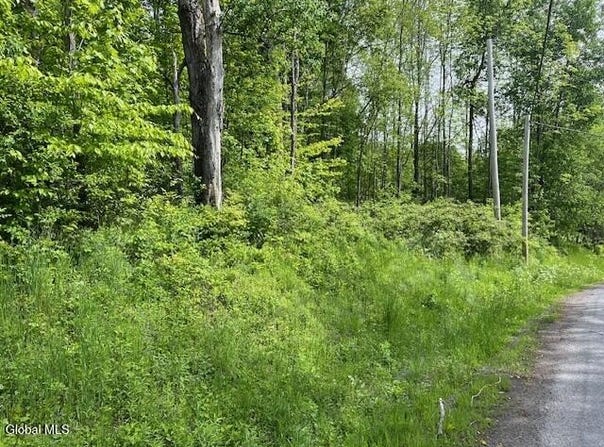 L9 Harrington, Gilboa, NY 12076