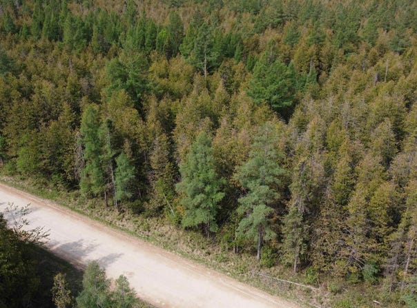 Vega, Hermansville, MI 49847