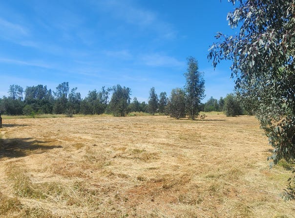 6582 Saddle Trail, Anderson, CA 96007