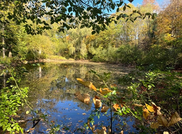 1.5 Wart Rd., Orwell, NY 13426