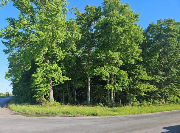LOT 1 E SUNSET AVE, GREENSBORO, MD 21639