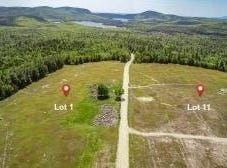 MAP13LOT1 Martins Ridge Road, Franklin, ME 04634