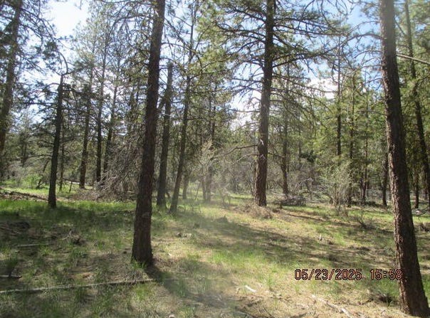 0 Golden Eagle Drive, Bonanza, OR 97623