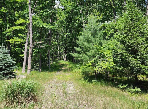 4809 White Birch Lane, Farwell, MI 48622