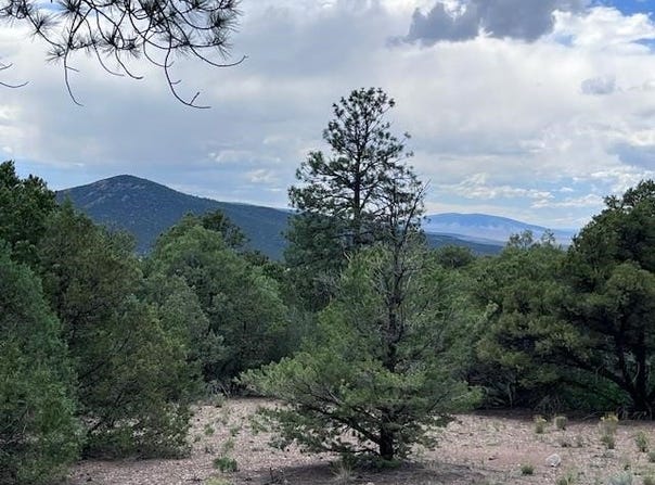 Lot 56 Upper Pinabete, Questa, NM 87556