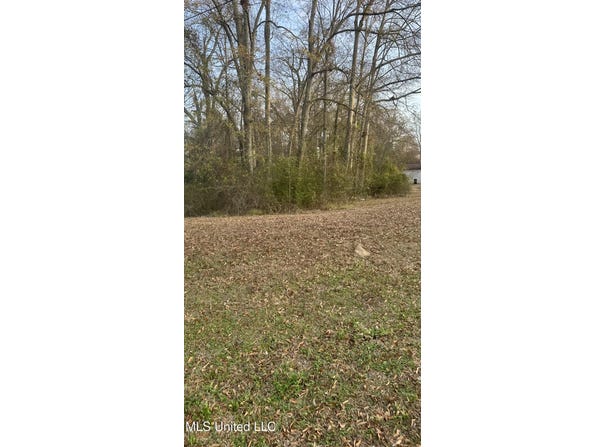 US-80, Morton, MS 39117