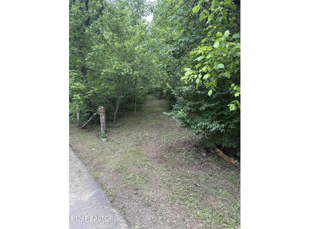 Noslen Rd, Knoxville, TN 37924