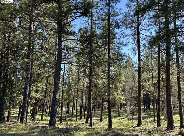 495 MCNICKOLS Rd, Goldendale, WA 98620