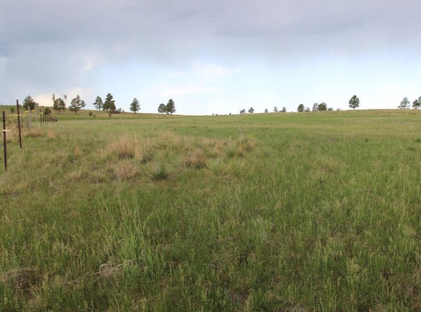 Tr. 3 Lariat Circle, Hot Springs, SD 57747-0000