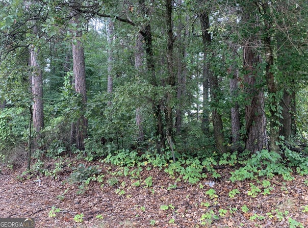 0 HWY 17 ALT, Toccoa, GA 30577