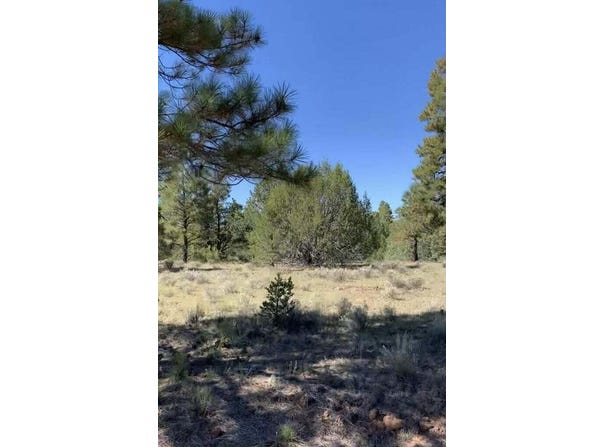 Cerro Leonides Road, Grants, NM 87020