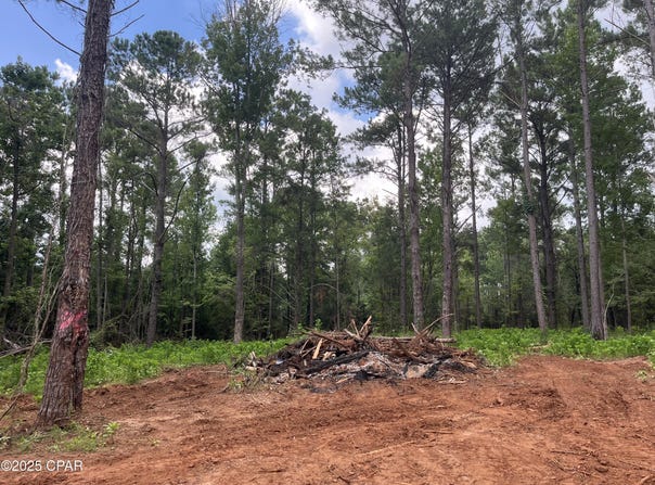2852 Lovewood Drive, Cottondale, FL 32431