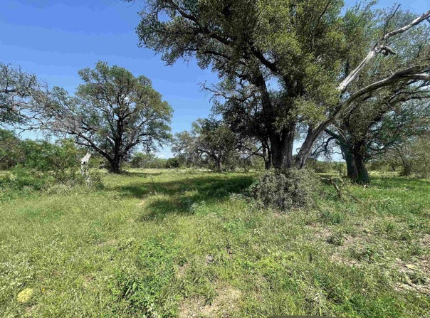 Tbd FM 1980 10.69, Marble Falls, TX 78654