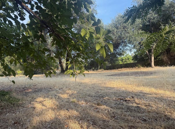 3293 Middleton Lane, Redding, CA 96002