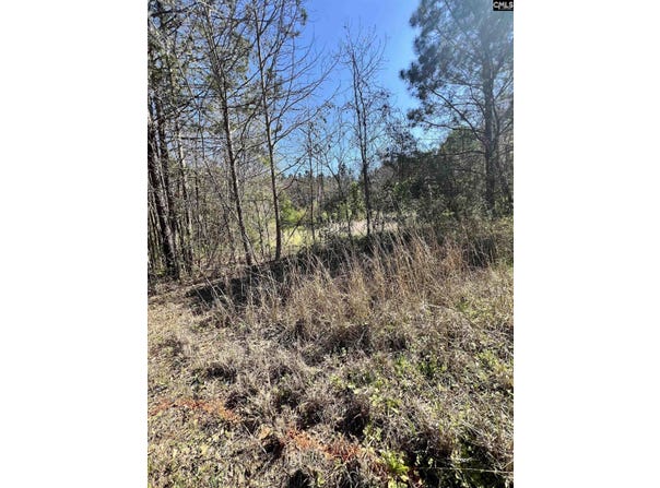 W S Wakefield Rd, Columbia, SC 29203