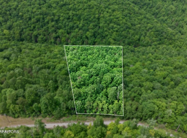 W Bobcat Lane, Wilder, TN 38589