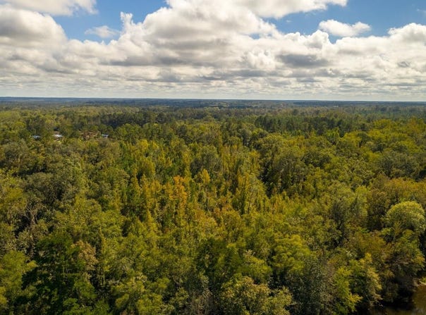 Strong Road, Quincy, FL 32351-0000
