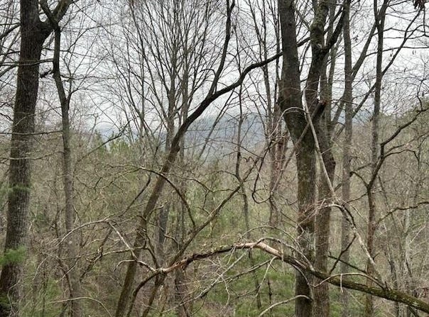 Lot 12a Oak Loop, Mineral Bluff, GA 30559