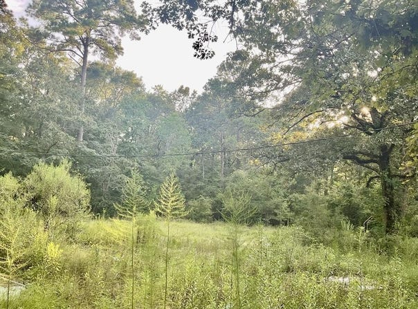 3508 Gilliland Creek Road, Huntington, TX 75949