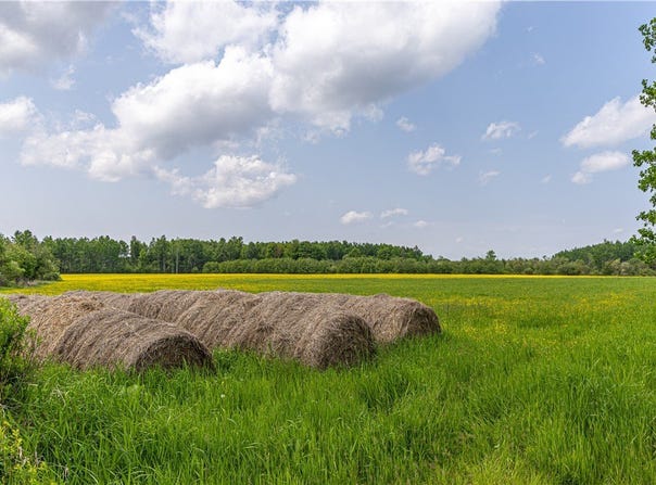 60 Acres Thatcher Road, Glen Flora, WI 54526