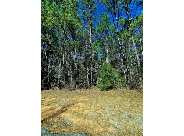 Ozark, AL 36360