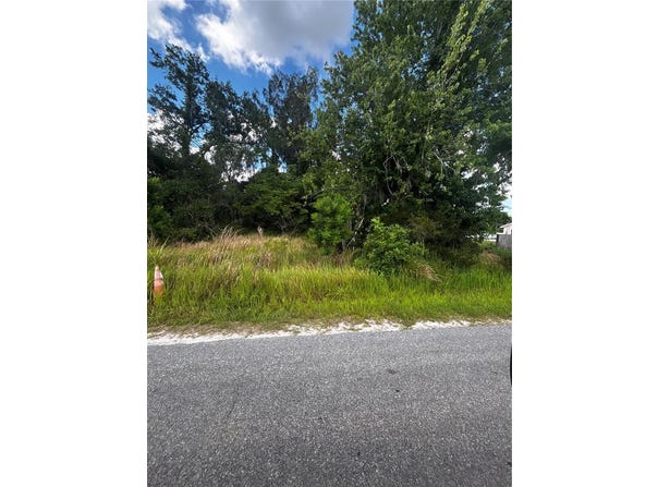 LEE Street, BOWLING GREEN, FL 33834