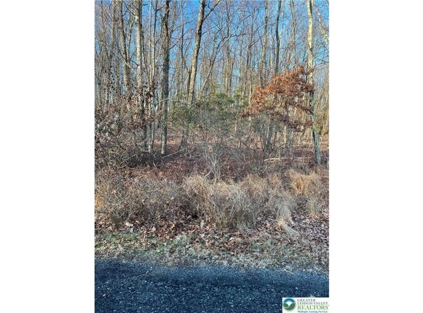 3 Apple Lane unit: 588, Penn Forest Twp, PA 18229